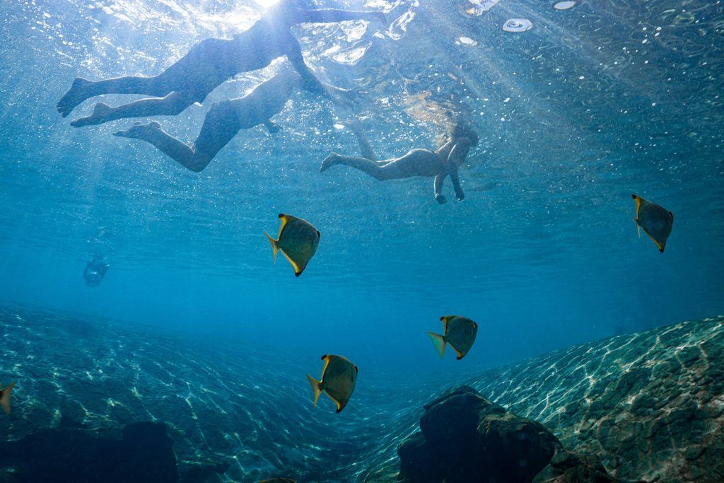 Underwater Lagoon
