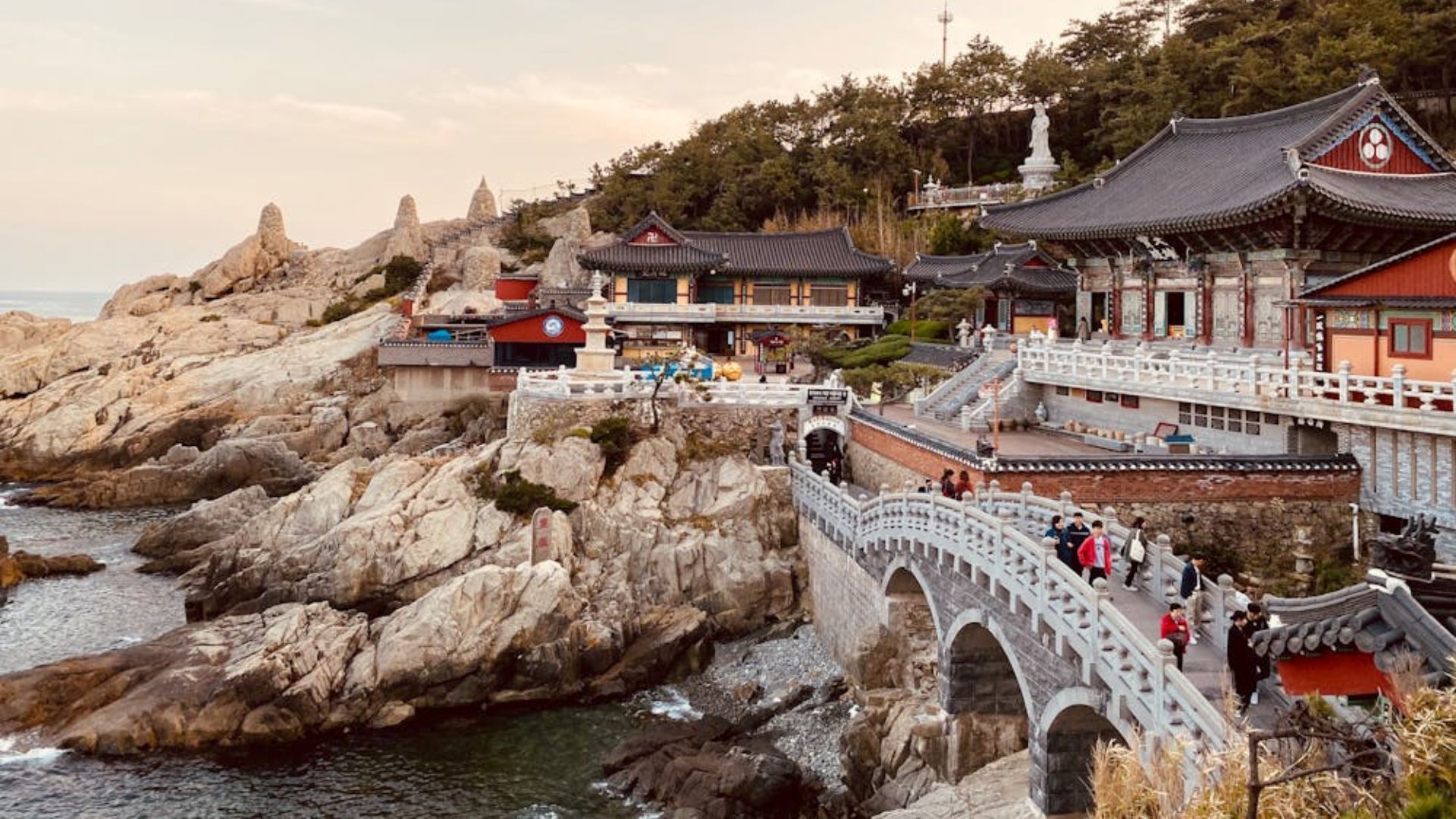 Busan, South Korea | Jeju Island