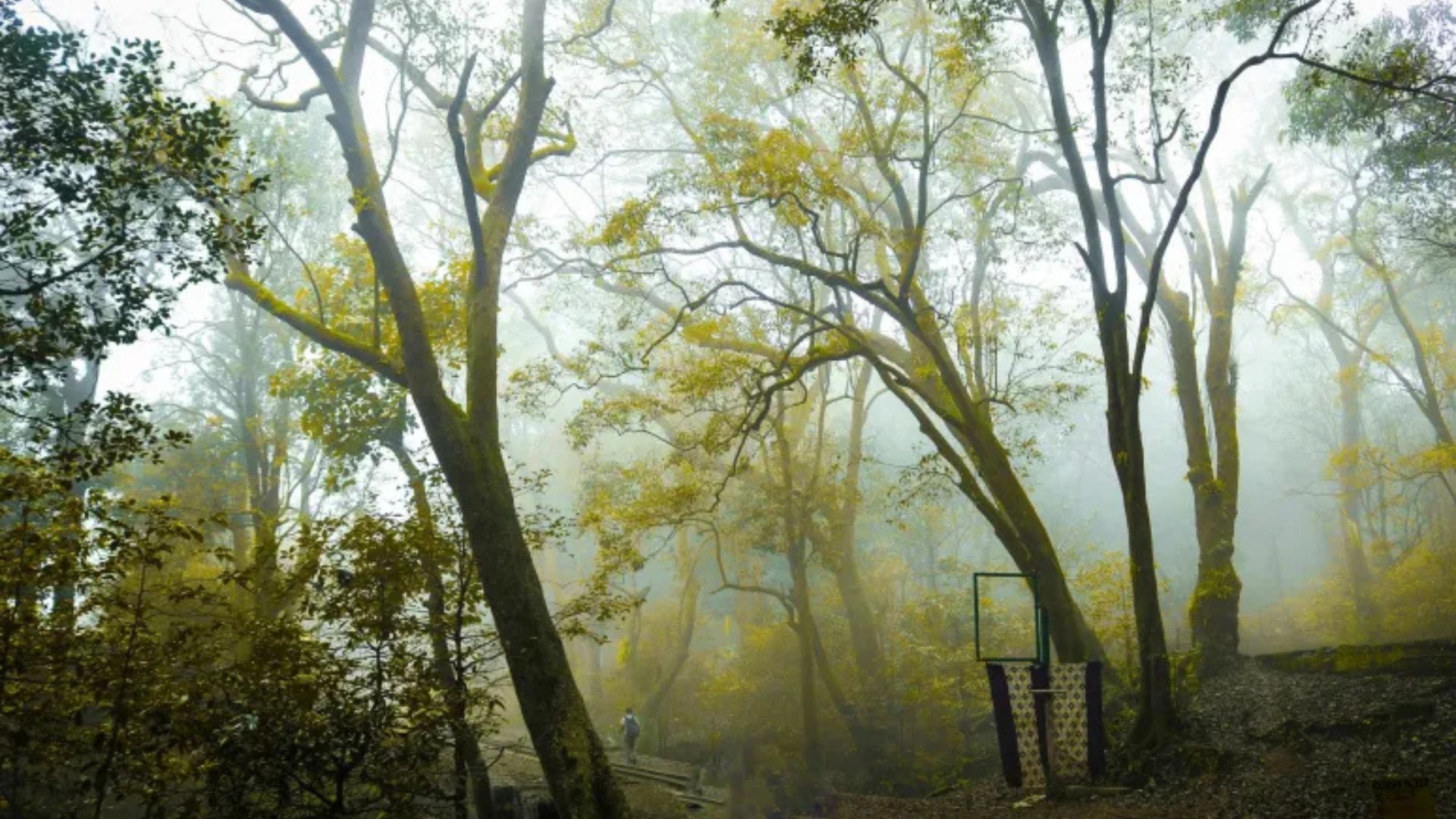 tourist places in Maharashtra