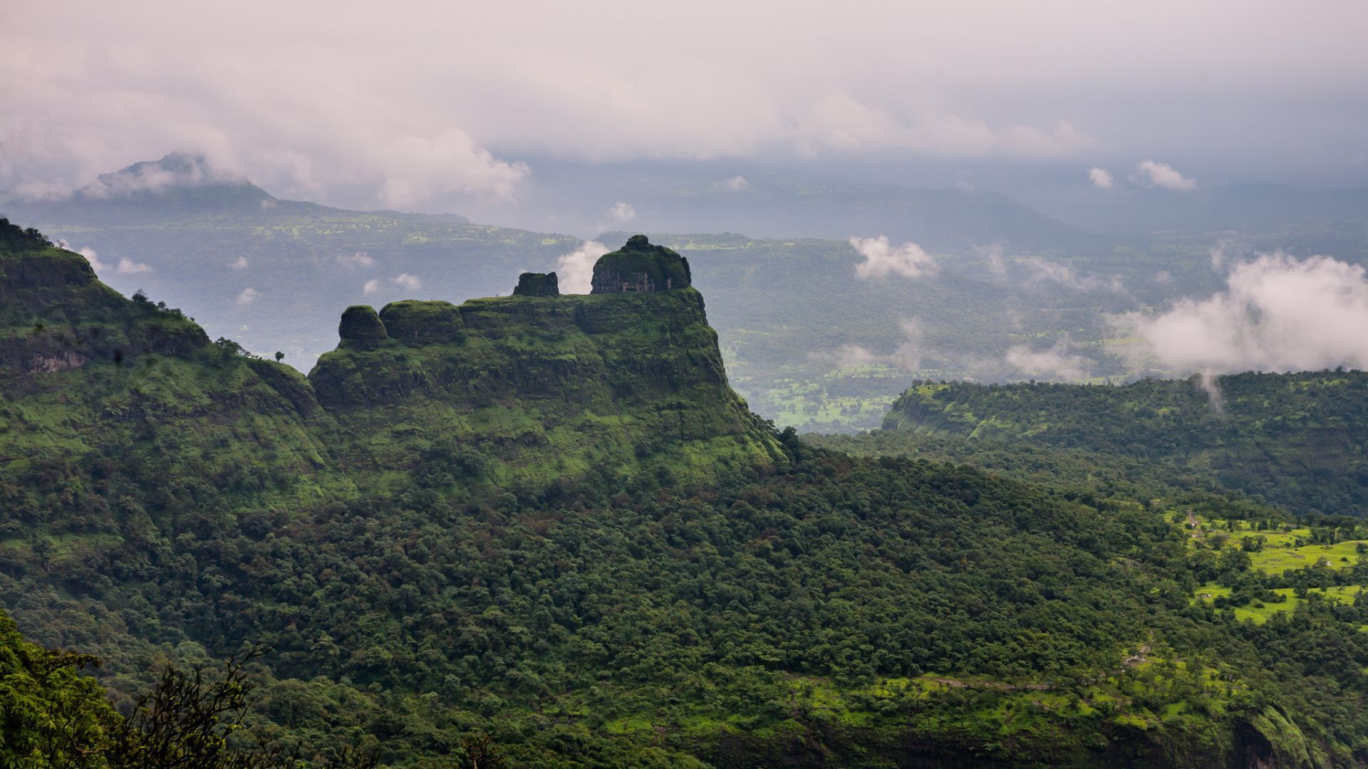 Bhimashanker
