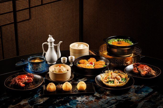 Mott 32
