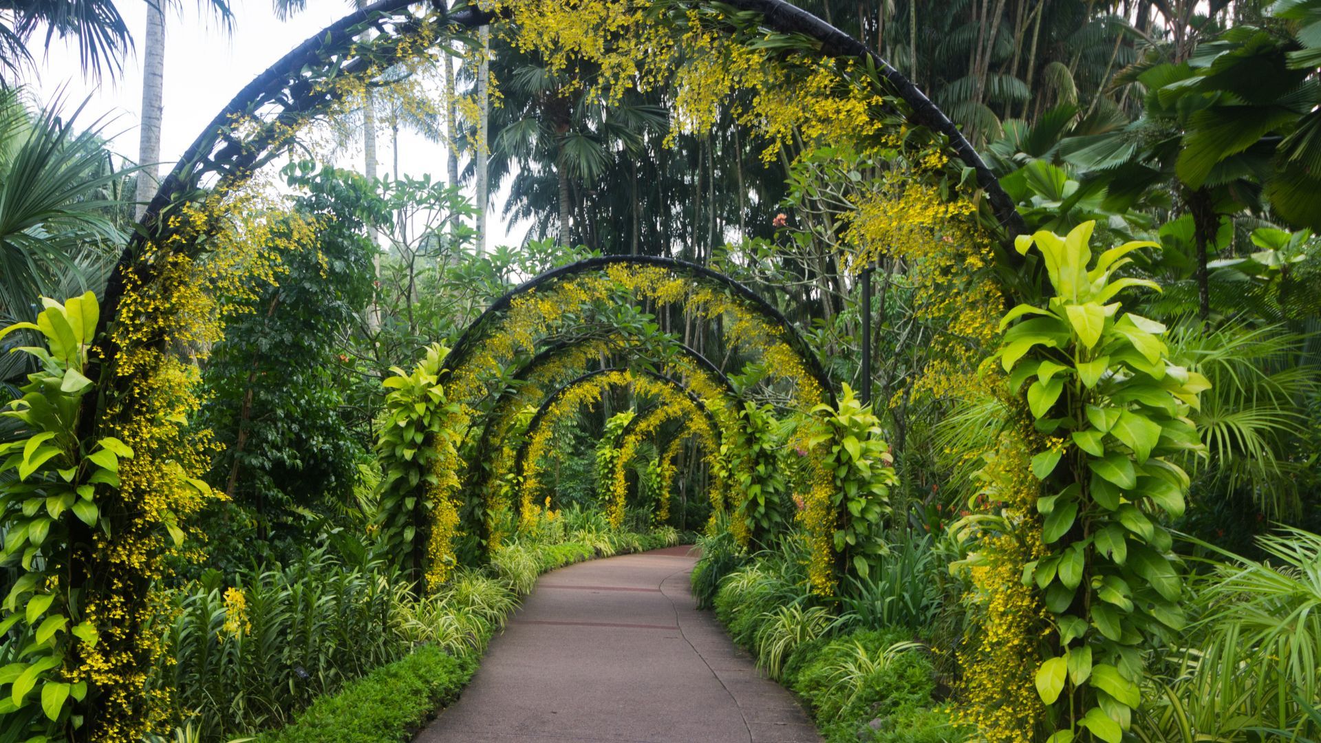 Singapore Botanic Garden