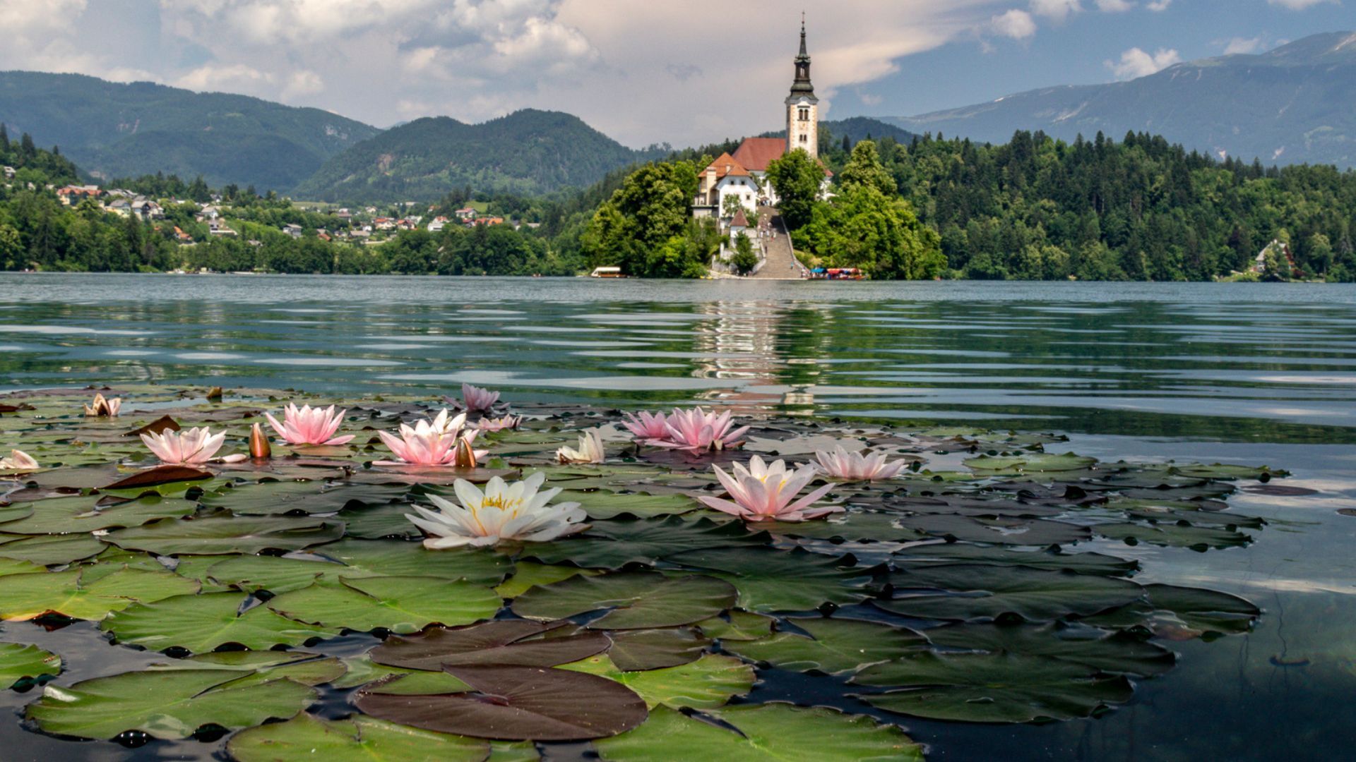 Lake Bled