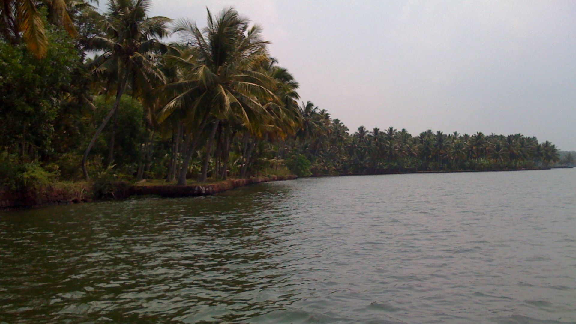 Backwaters of Kappil Beach