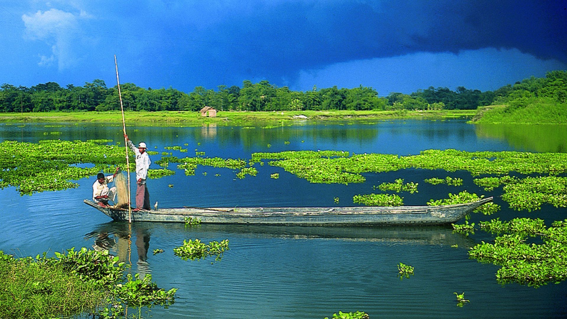 Majuli River Island