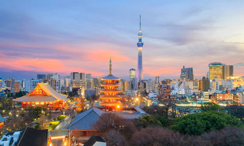 Journey Through Tokyo's Evening Hours Where Sacred Traditions Meet Urban Adventures