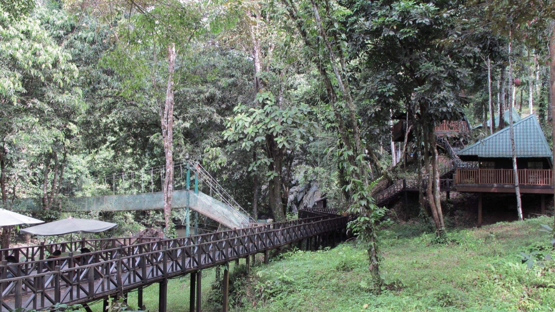 Tabin Wildlife Reserve