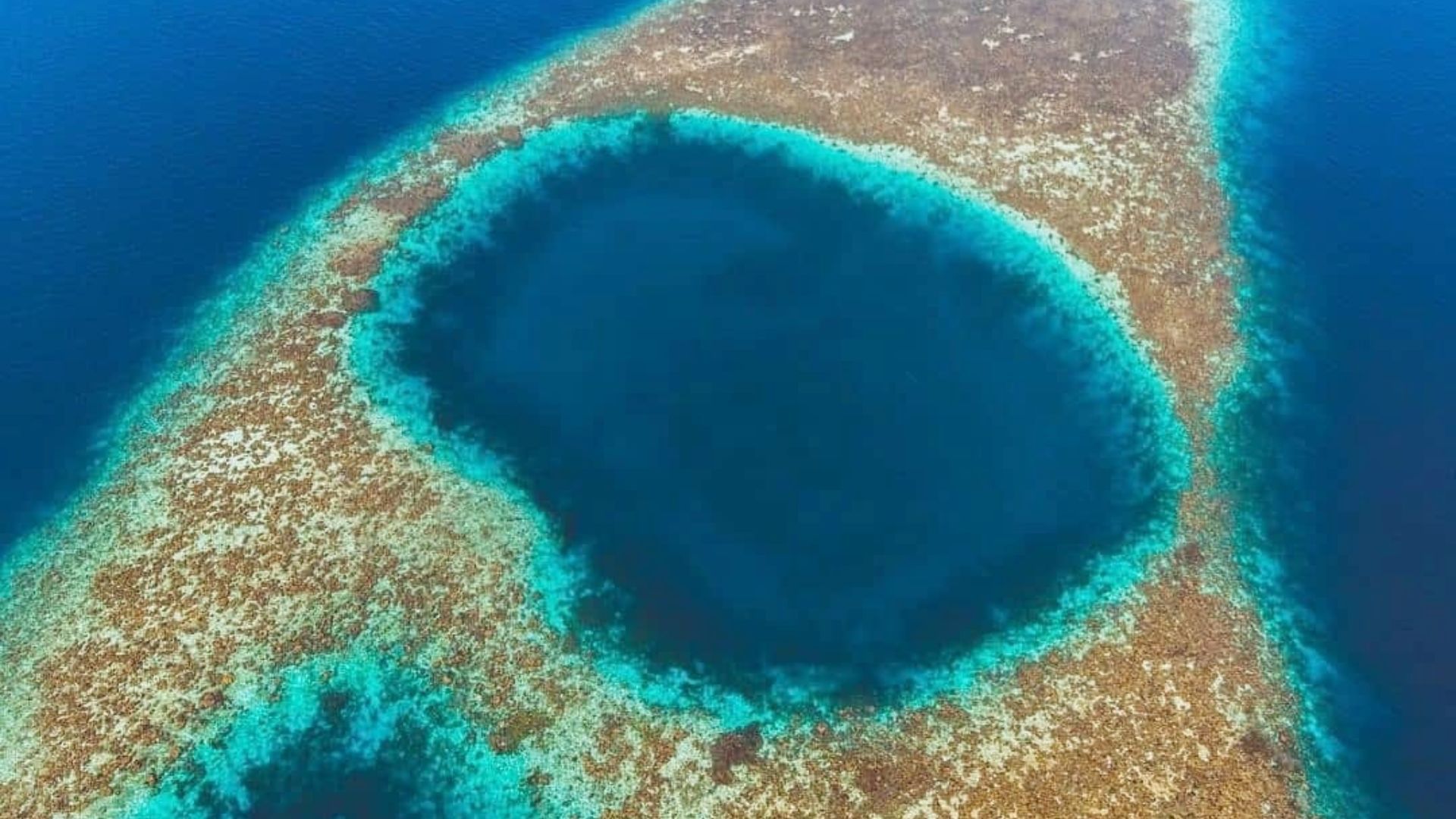 Blue Ring Hole