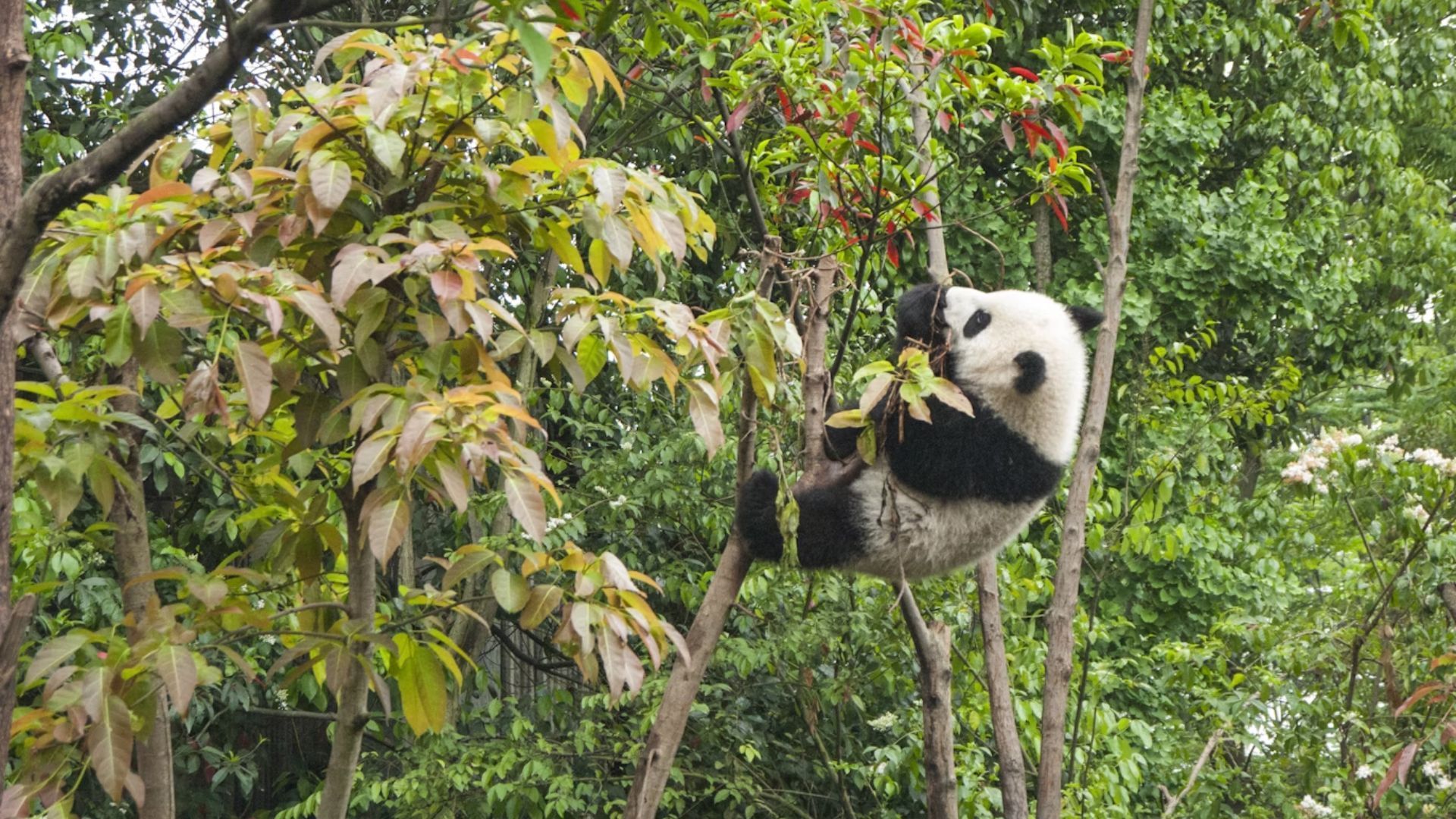 best places to visit in asia in 2025