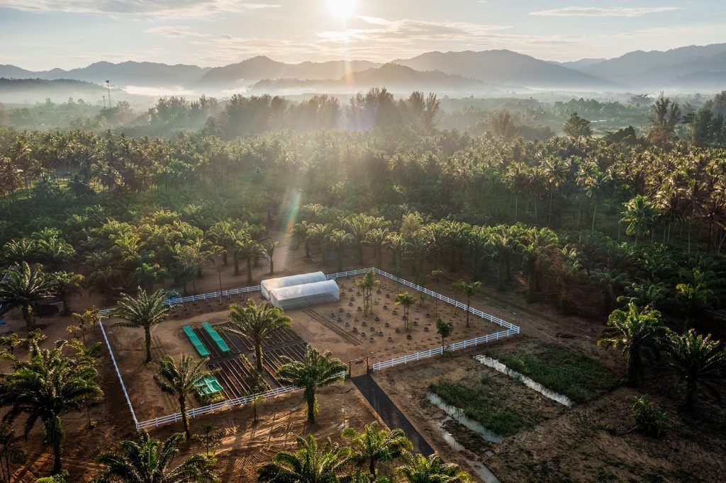 JW Garden Full Farm Model