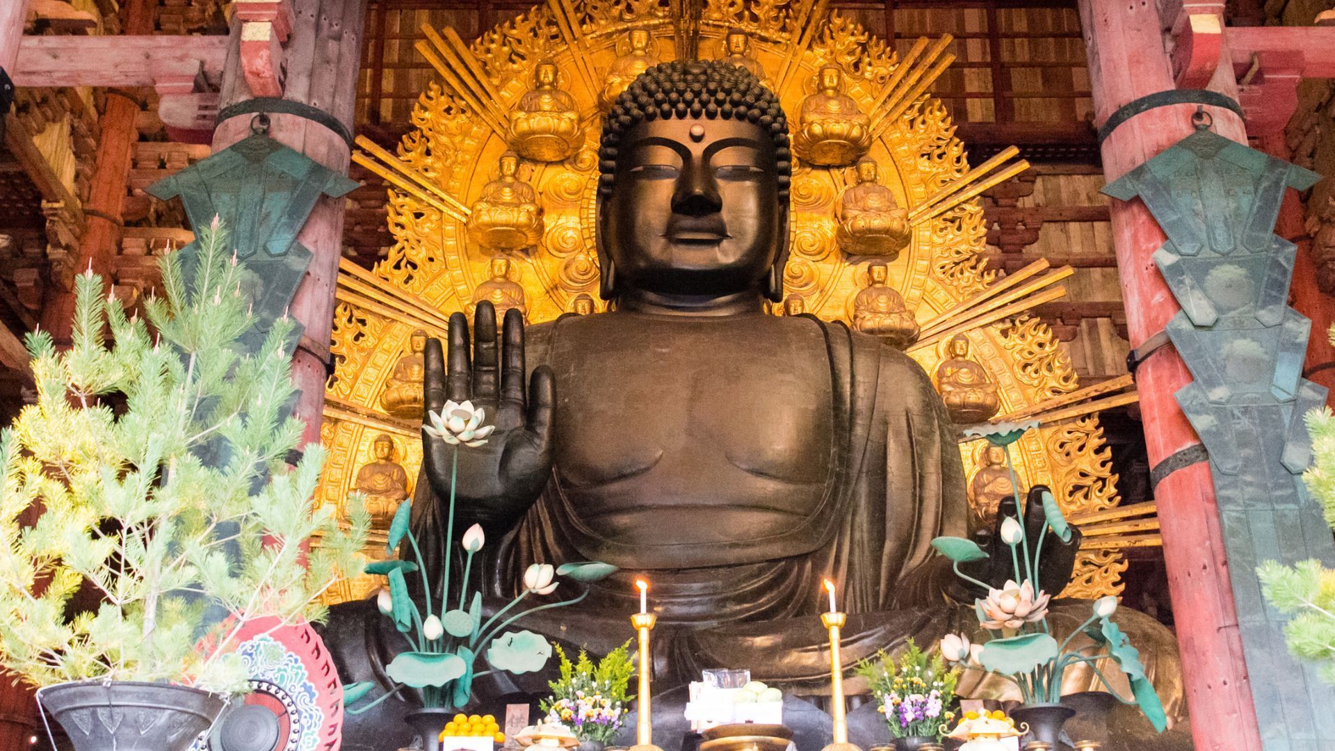 things to do and Places to visit in Nara