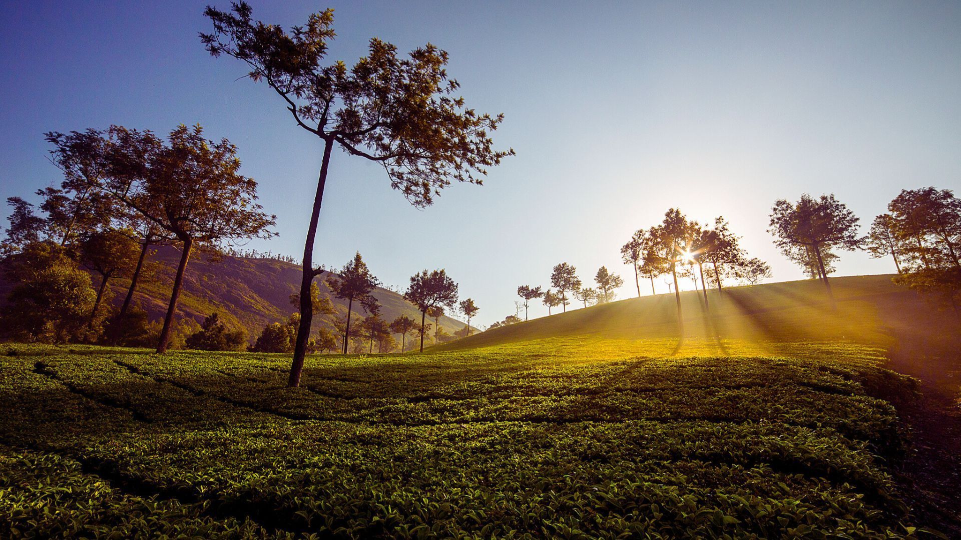 Munnar, India itinerary