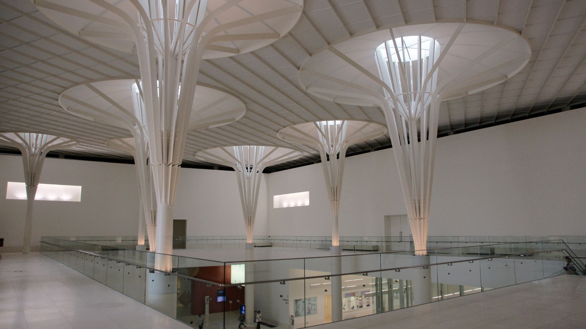 Okinawa Prefectural Museum