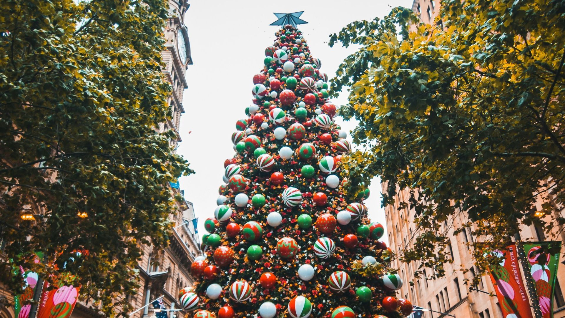 christmas in sydney