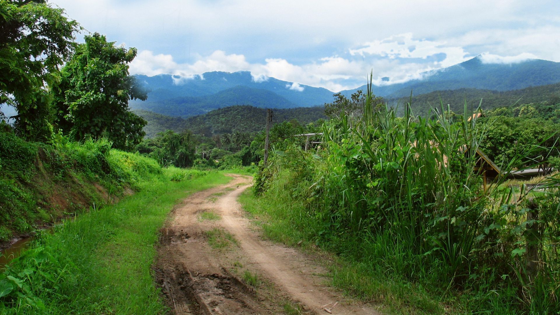 Chiang Mai Aries