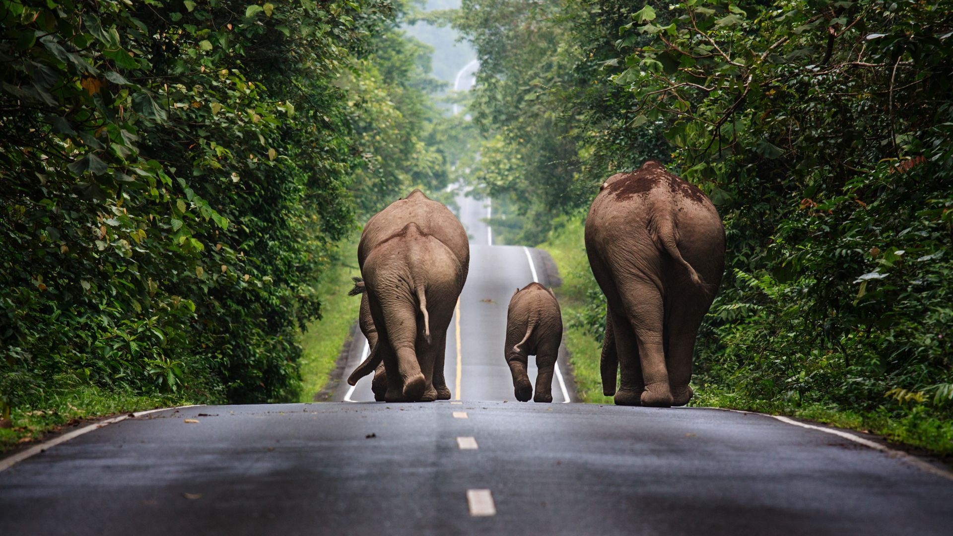 zodiac travel in Thailand
