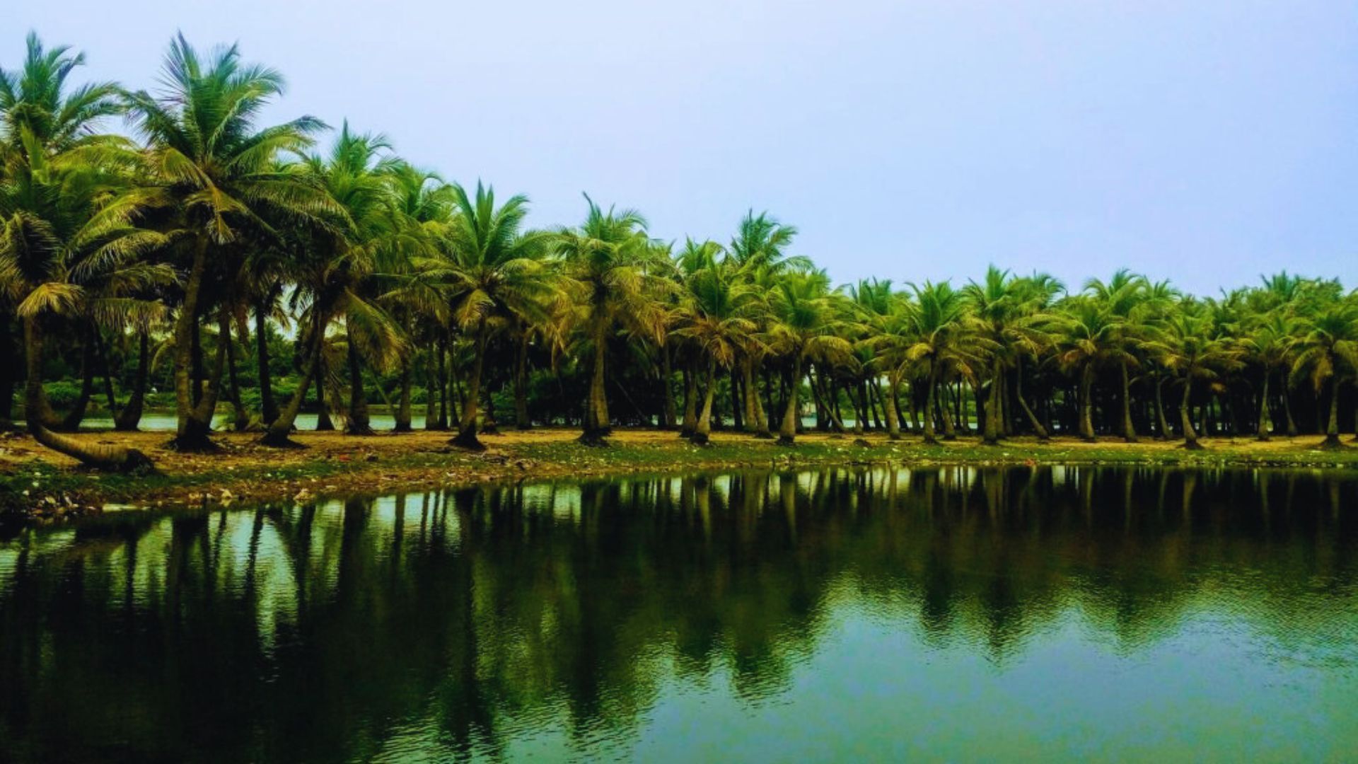 Paradise beach