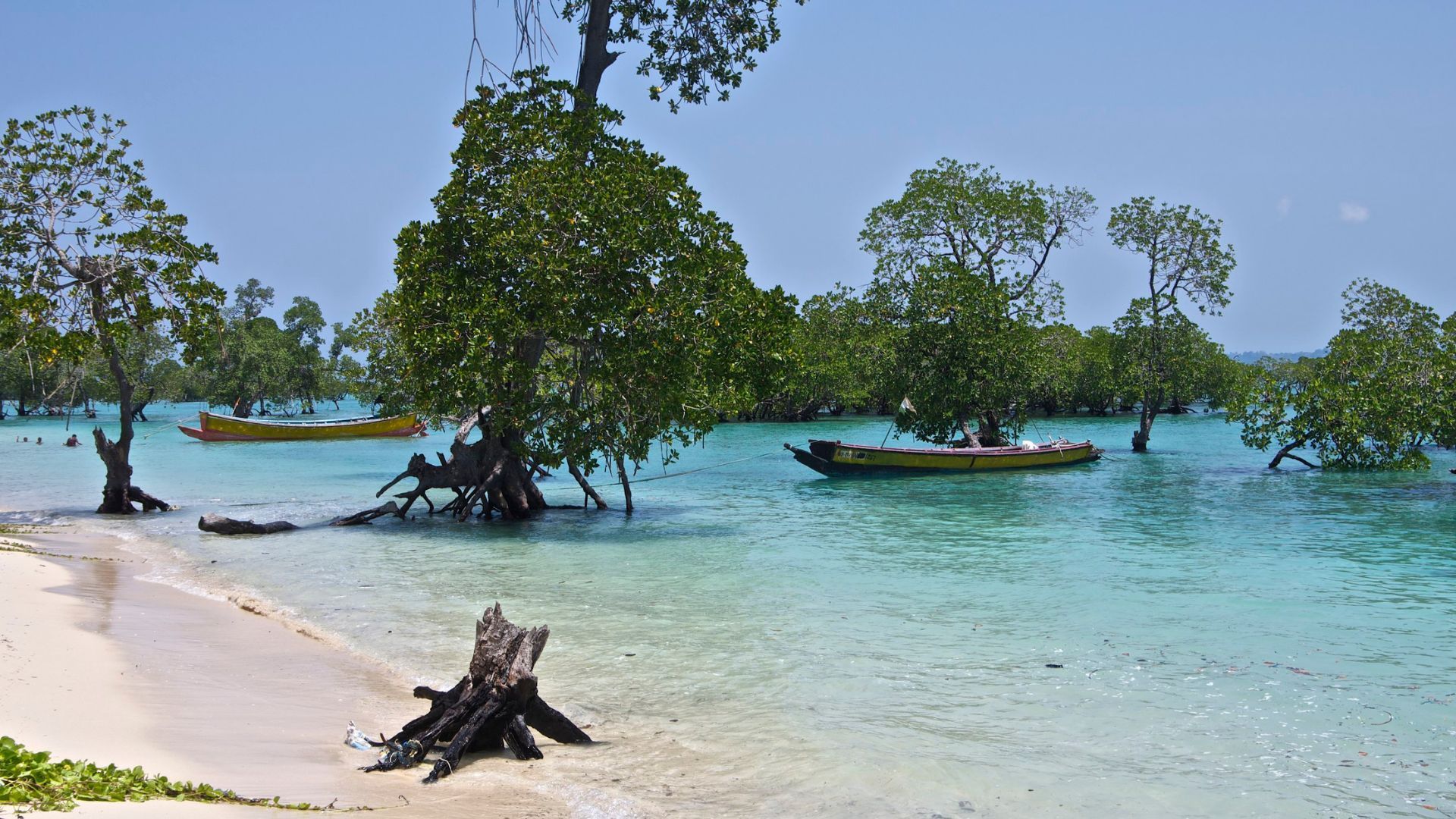 Neil Island, Andaman and Nicobar Islands, India