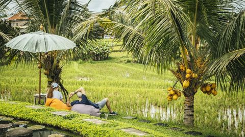 Where To Plan Your 2025 Travels In Asia Based On Chinese Zodiac