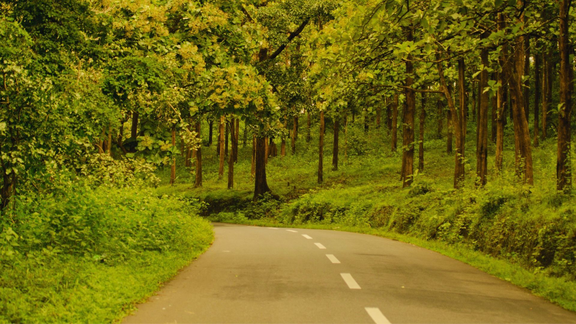 Wayanad tourist places
