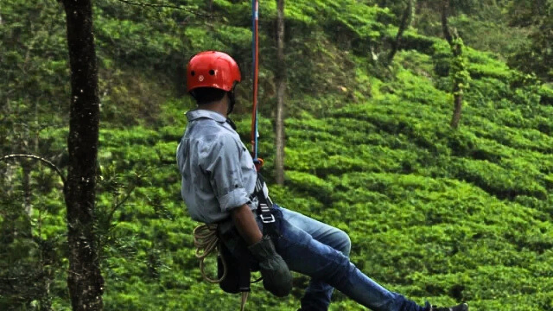 Ziplining in Wayanad