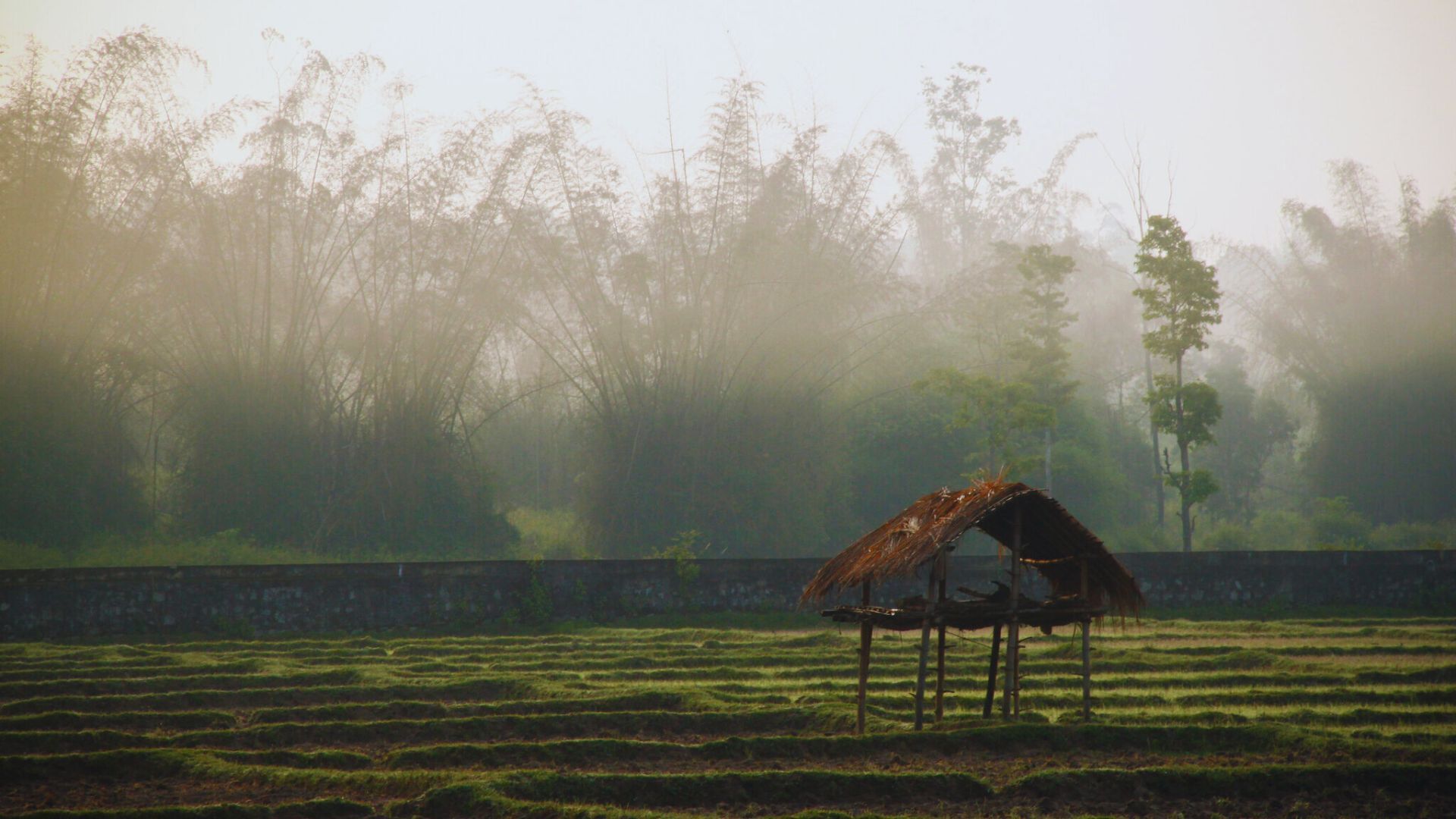 Wayanad