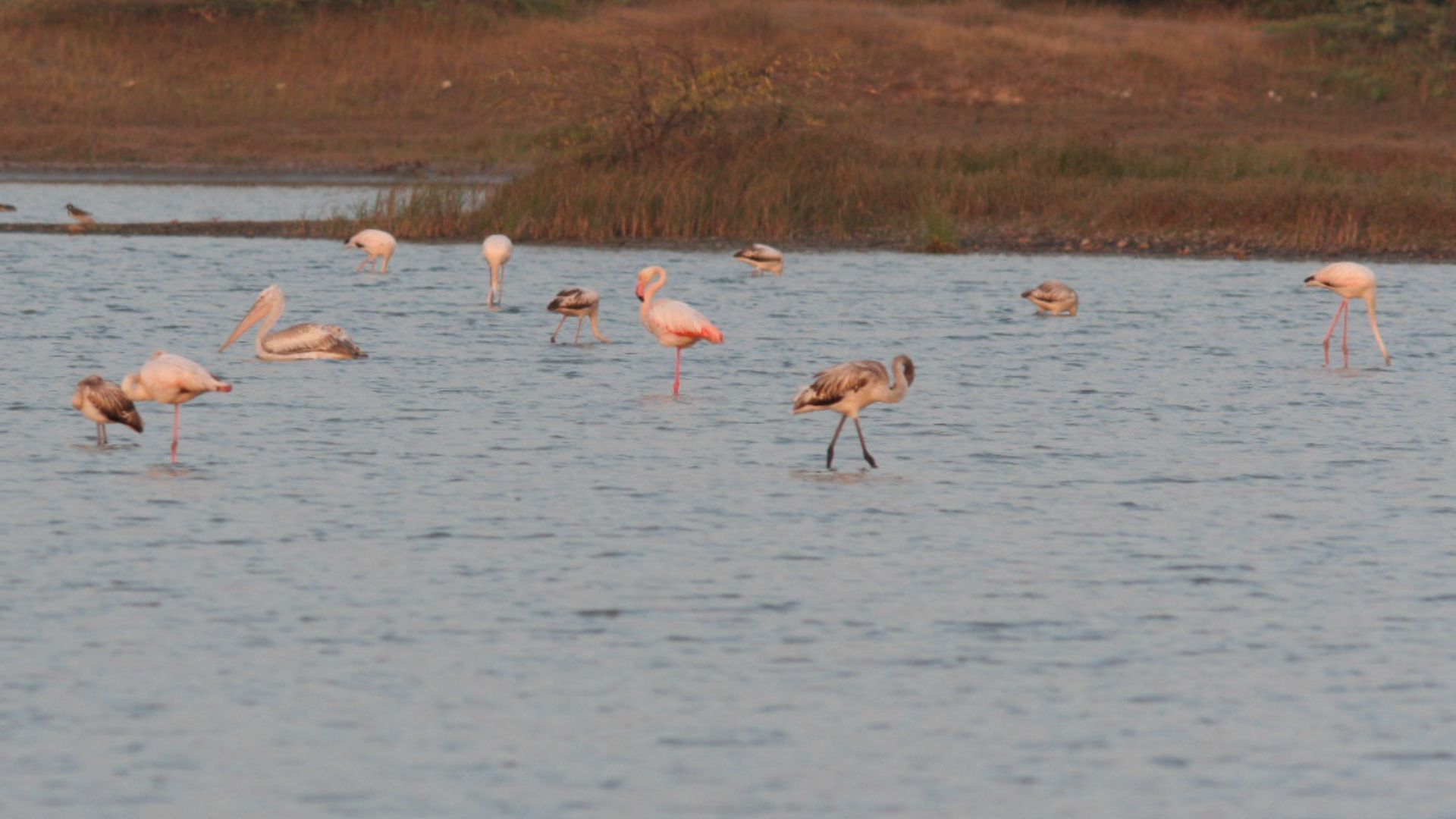 places to visit in kutch