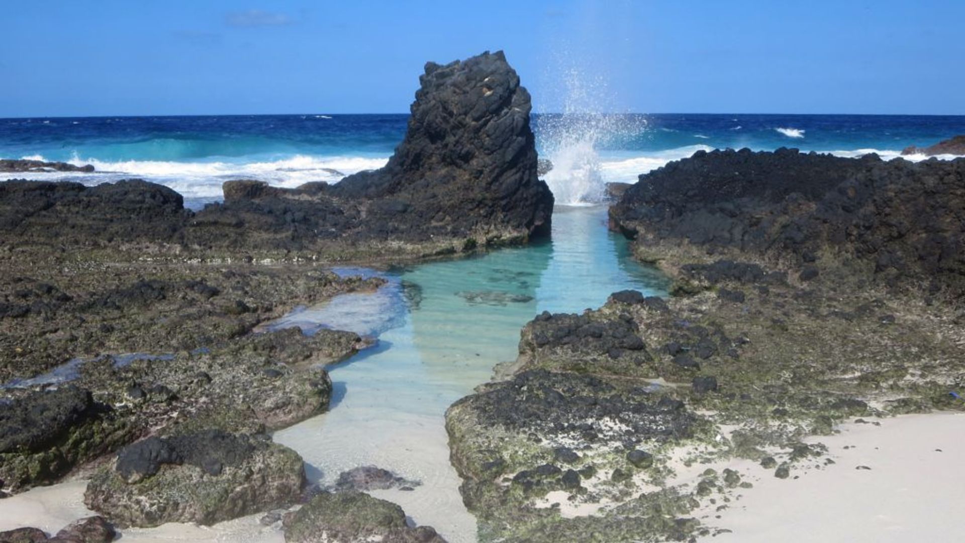 Dolly beach