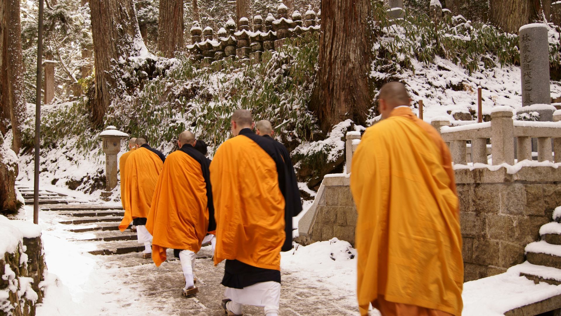 day trips from Osaka
