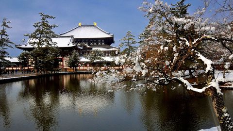 Explore Japan's Beauty Through These Stunning Day Trips From Osaka