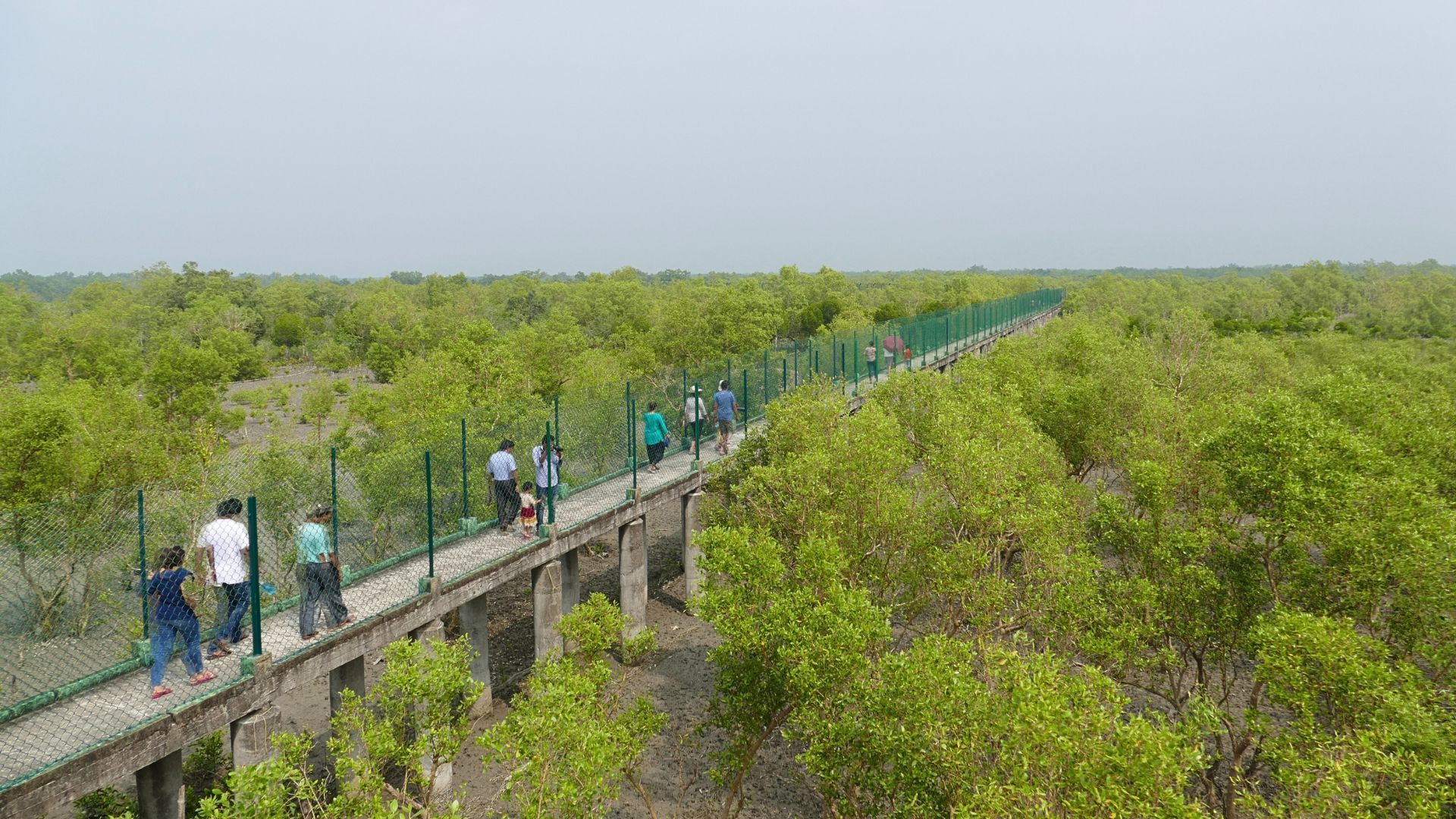 Sundarbans, West Bengal