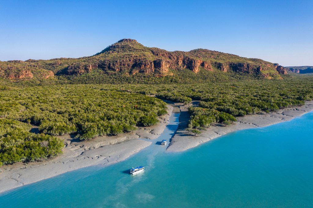 Xplorer Tenders take you into shallow creeks & mangrove systems