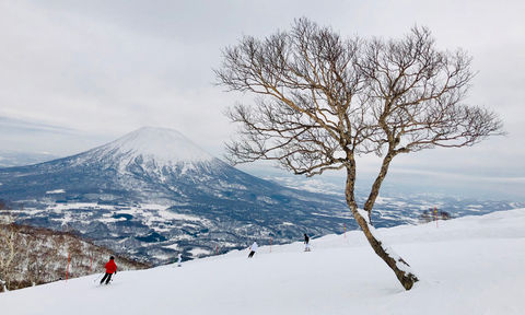 Where to Find Hidden Pockets of Snow in Niseko