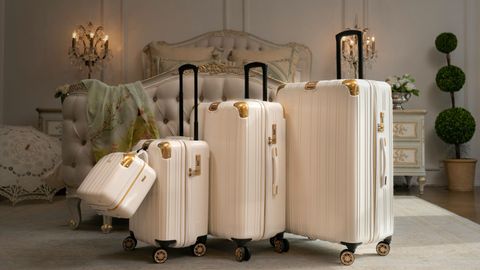 Stylish Globetrotters, Buy Your Best Travel Bag From Our Top Luggage Brand Picks