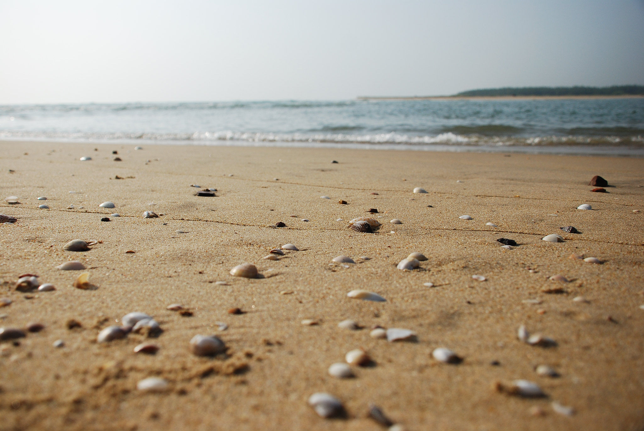Silver beach, Cuddalore