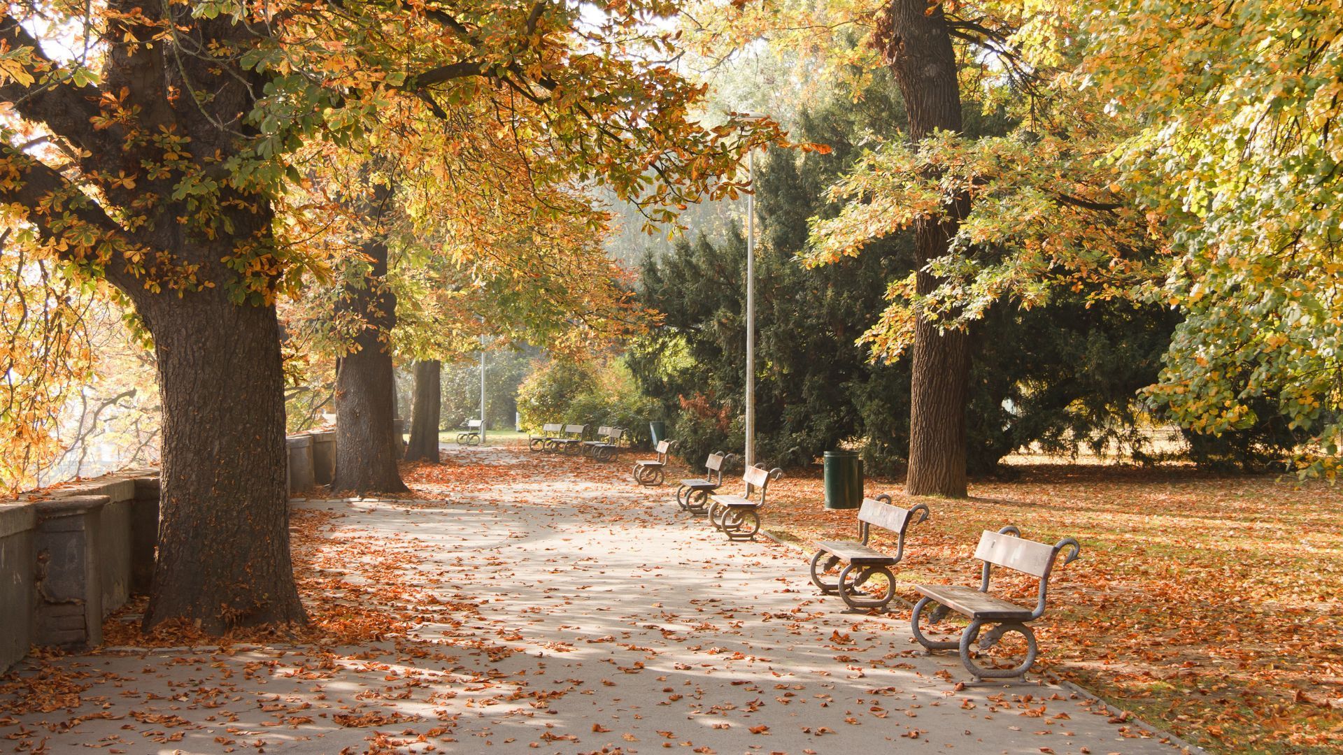 Things To Do In Prague