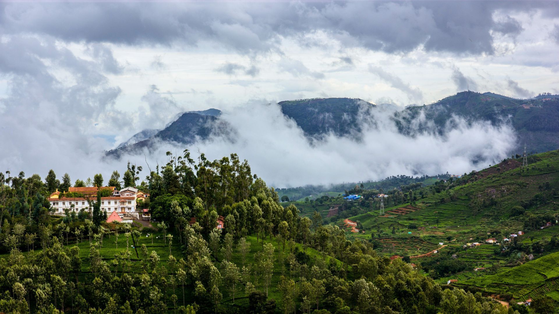 Nilgiris