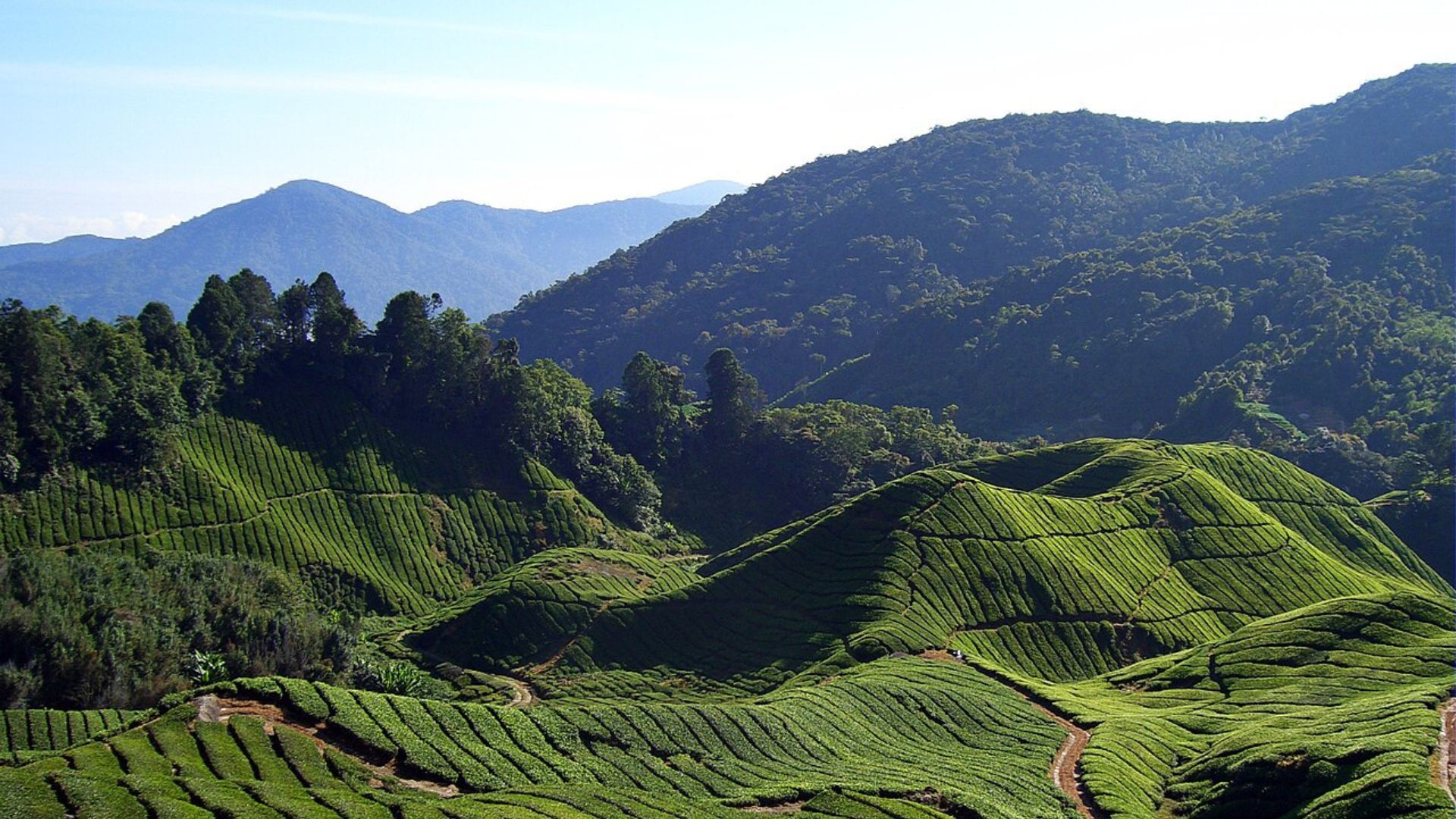 things to do in malaysia