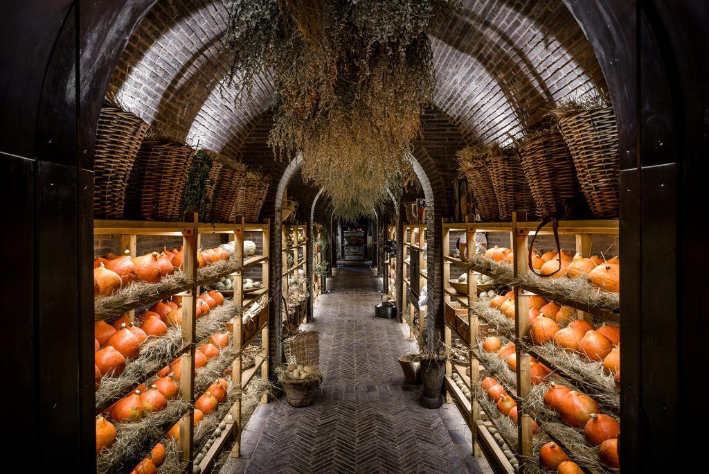 The root cellar, four metres underground
