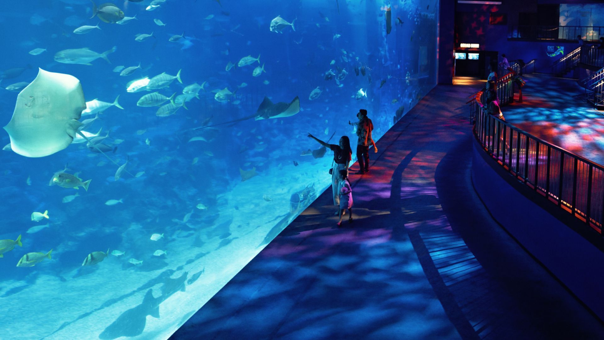 S.E.A. Aquarium, Sentosa, Singapore