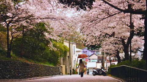Exploring Yokohama: This Port City Is The Perfect Day Trip From Tokyo