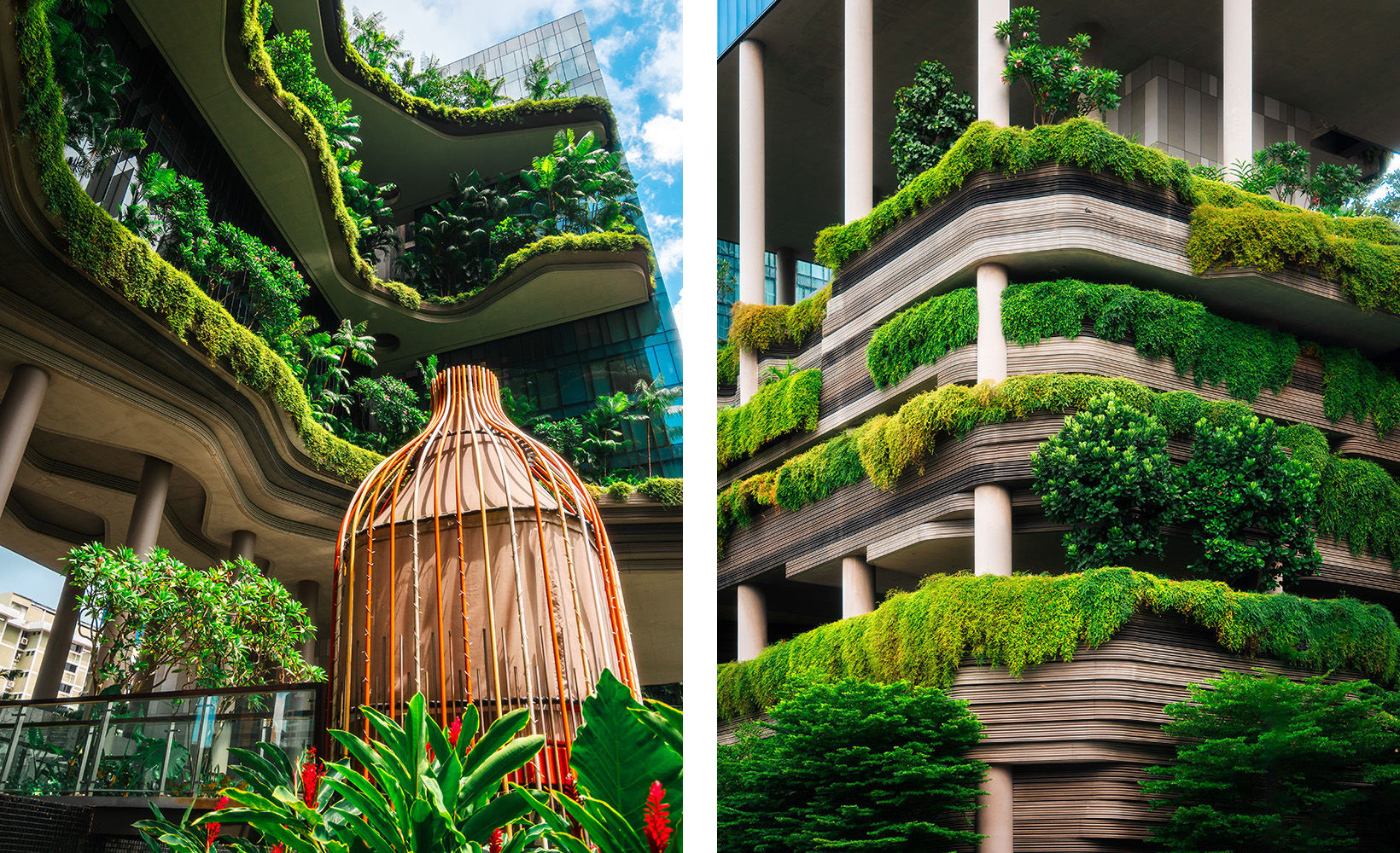 Discover the Ultimate Eco-Wellness Experience at PARKROYAL