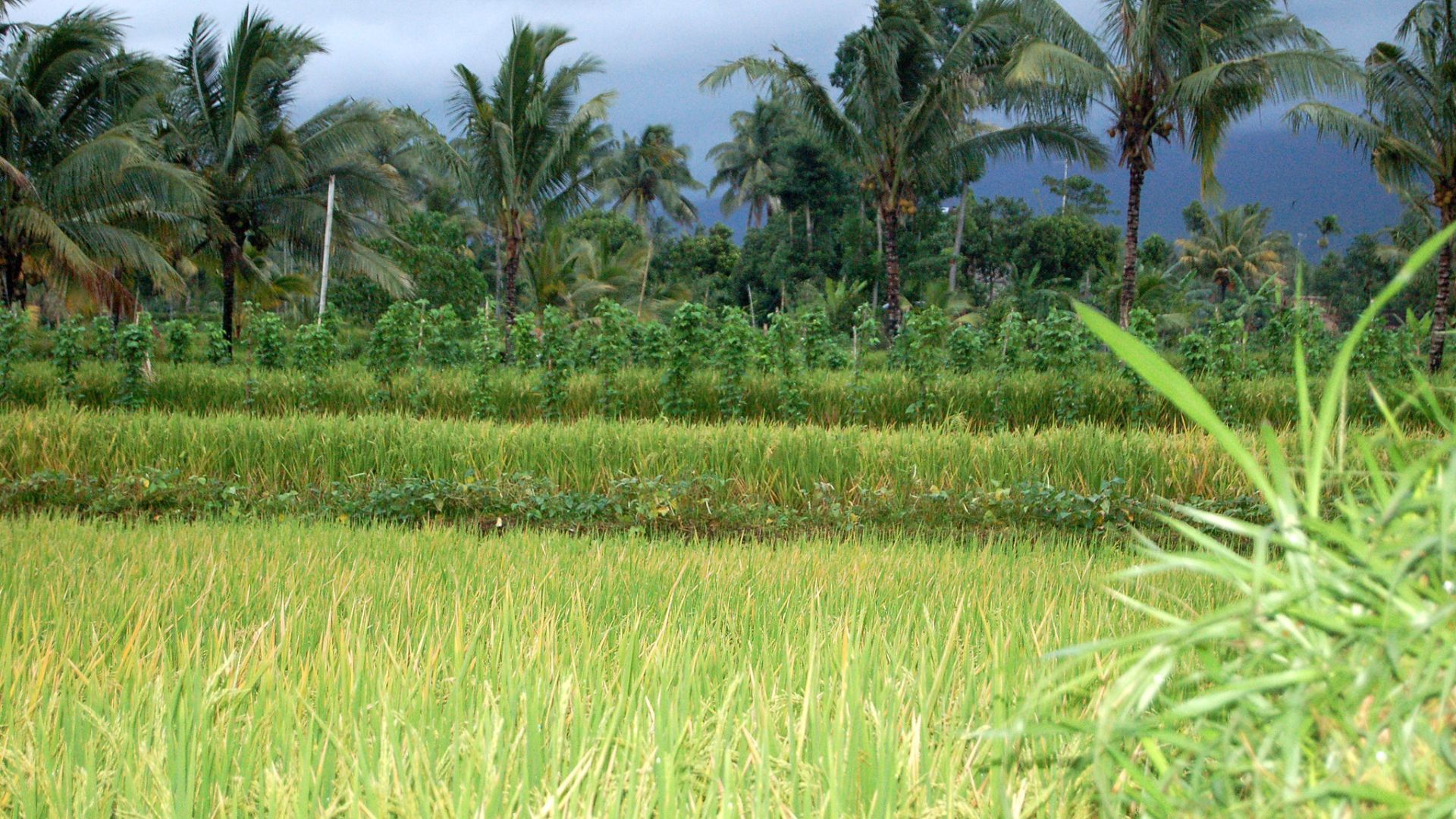 Lombok: The Only Guide You'll Need To Explore This Indonesian Paradise