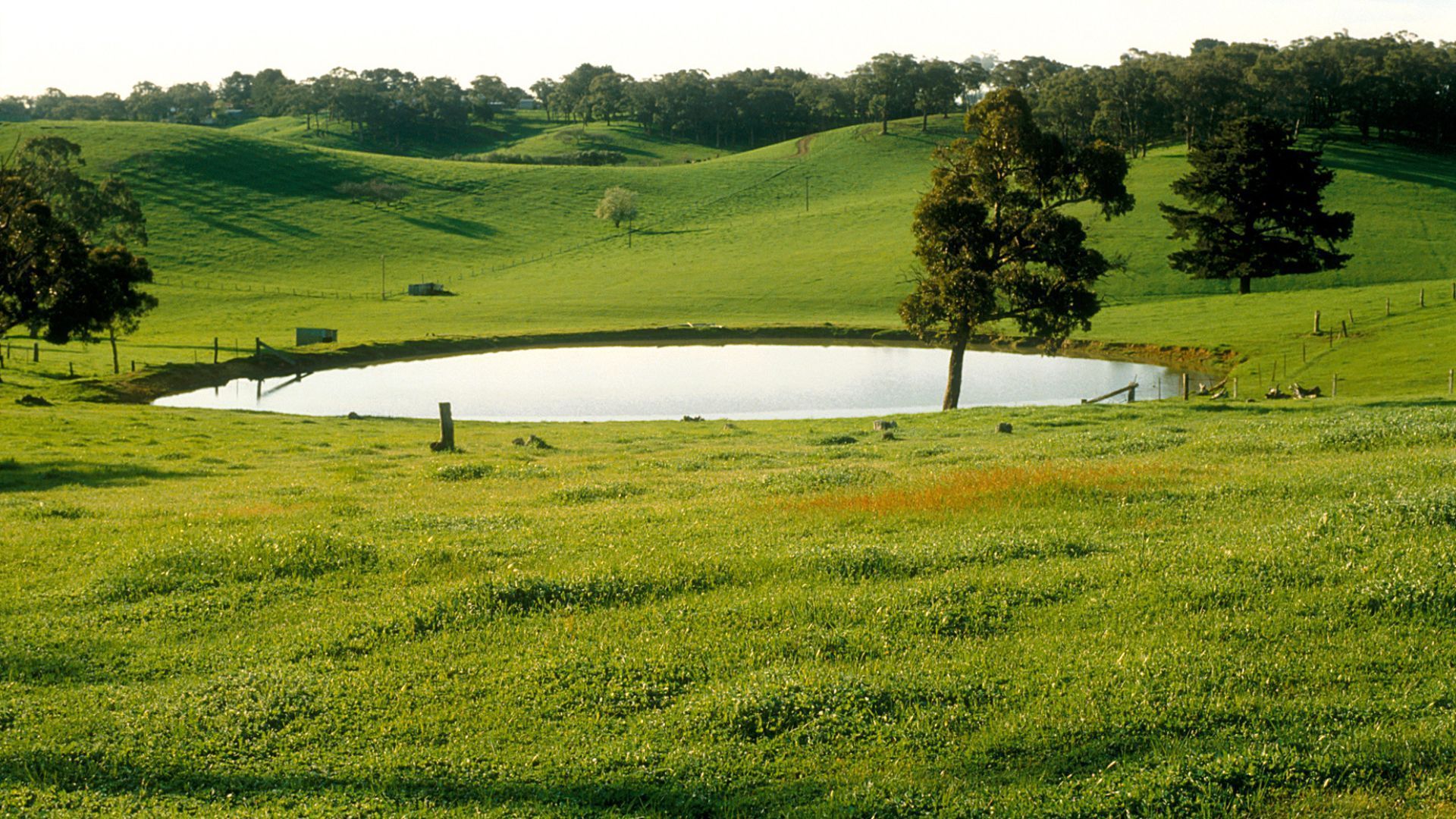 Adelaide Nature Spring Wellness Experiences In Australia: 7 Nature-First Retreats For Recharge