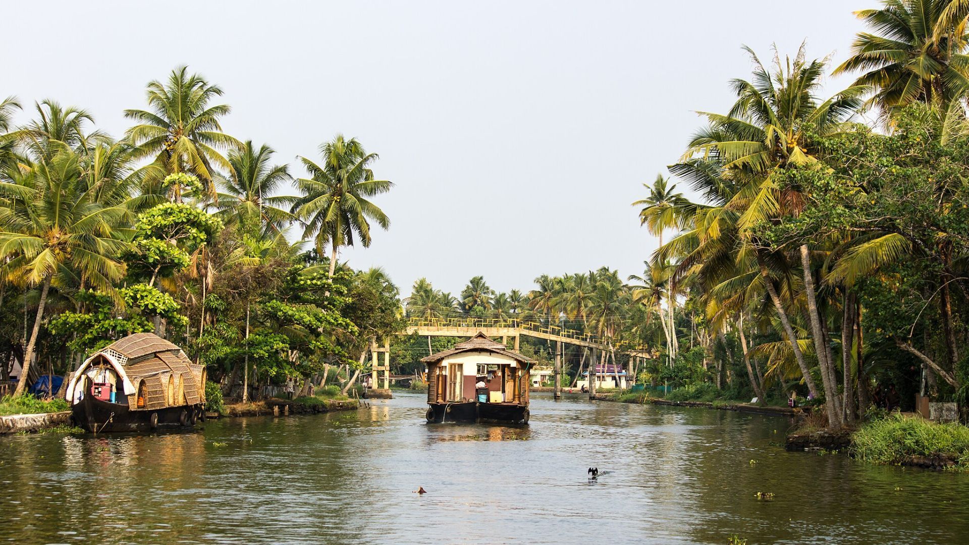 alleppey