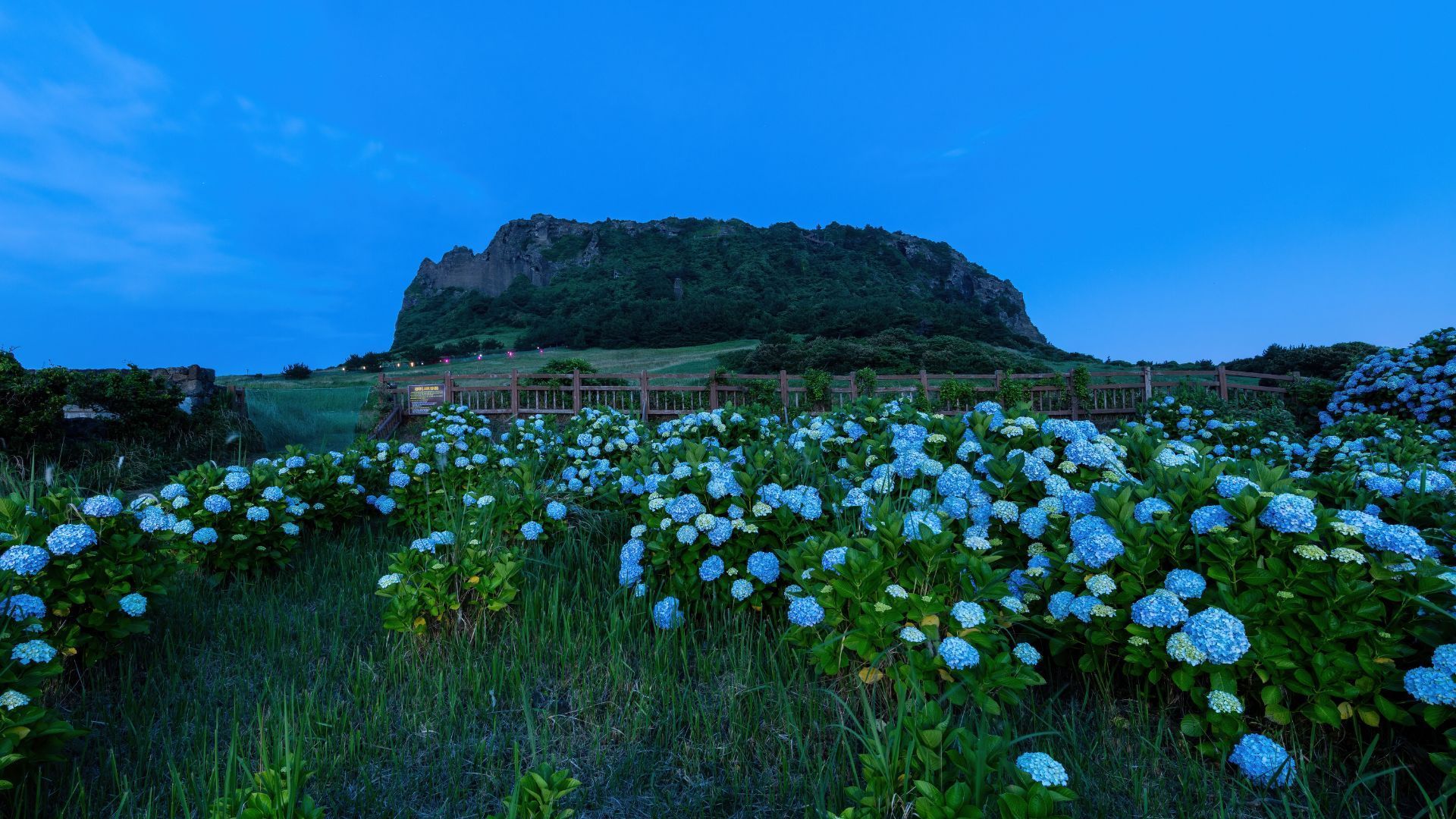Seongsan Ilchulbong Volcano, Jeju Island, South Korea