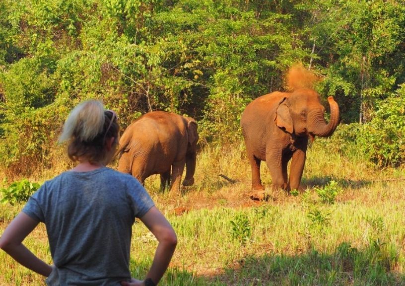World Elephant Day