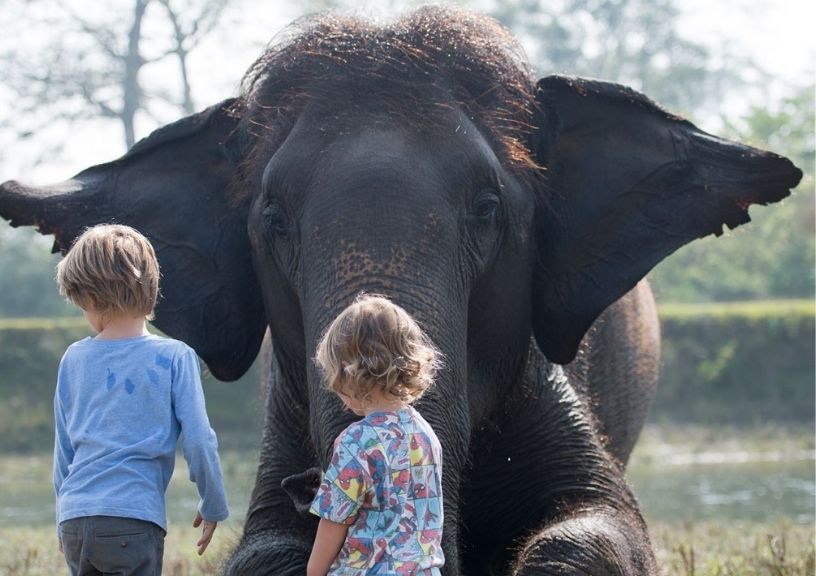World Elephant Day