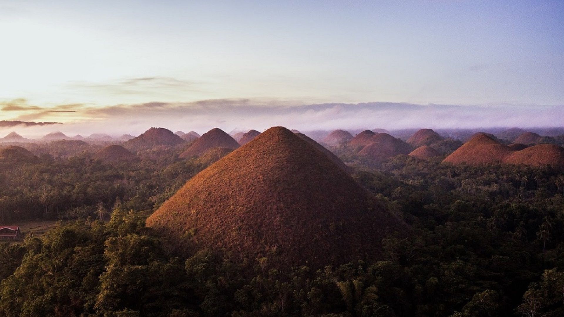 Chocolate Hills