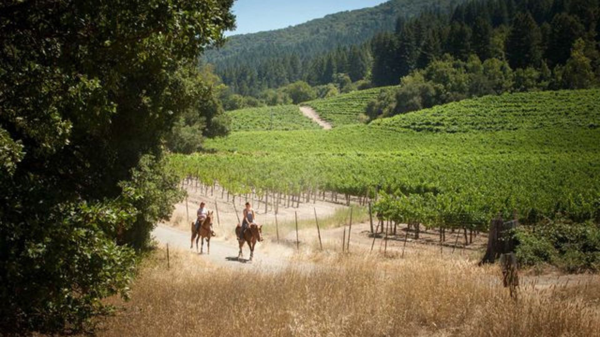 Winery family trip